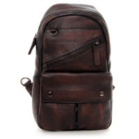 F8131 Brown Sifino.jpeg