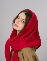 Картинка.png