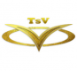 TSV